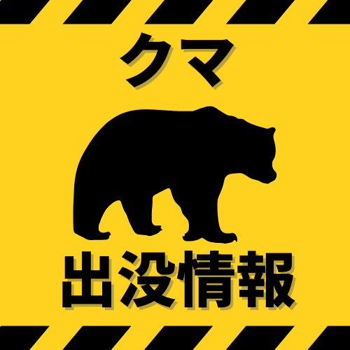 クマSP