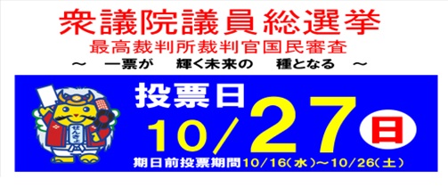 令和6年度衆議院議員総選挙