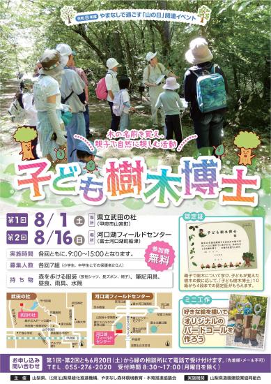 R8子ども樹木博士