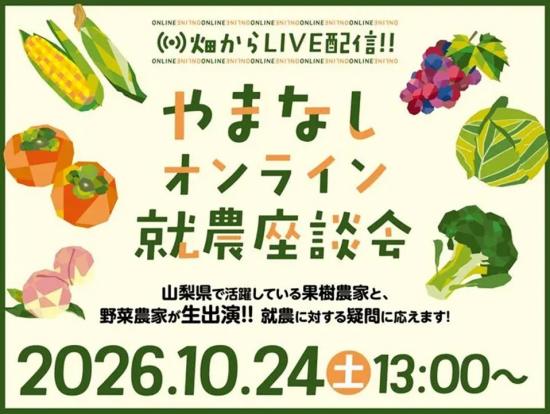 261024online