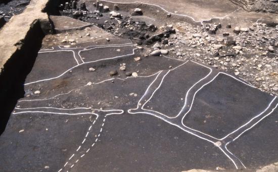 画像：宮ノ前遺跡出土の水田跡