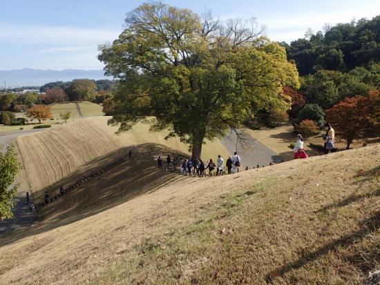 画像：ガイドツアーの様子