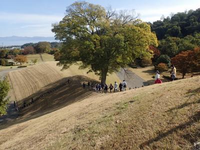 画像：古墳散策の様子