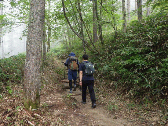 山岳登山5