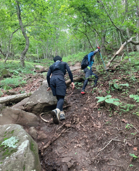 山岳登山4