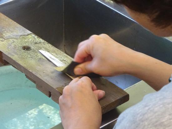 画像：研磨作業の様子