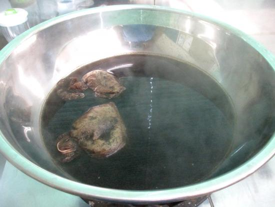 画像：コーヒーの染料