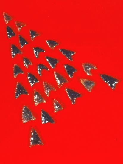 画像：小坂遺跡出土・打製石鏃