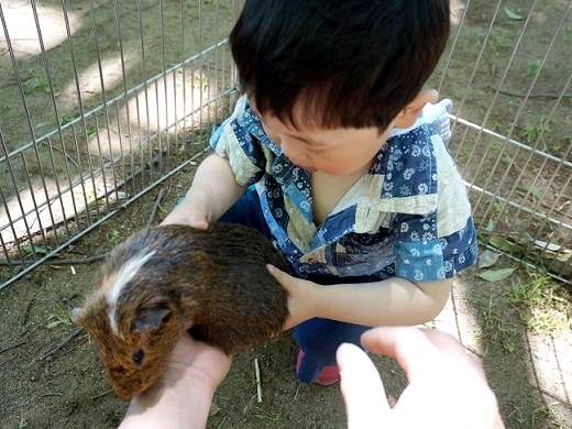 画像：動物とのふれあいの様子