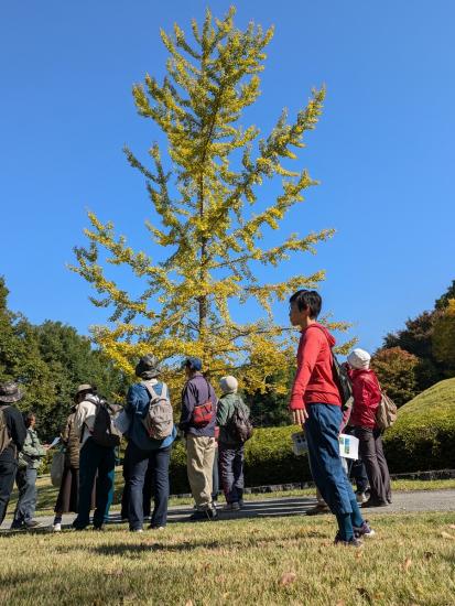 画像：ガイドツアーの様子