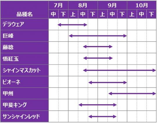 ブドウ出荷時期