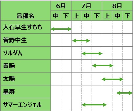 スモモ出荷時期