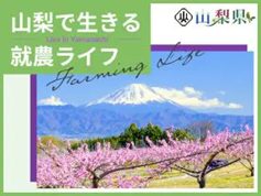 山梨で生きる就農ライフ画像