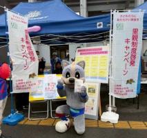 ヴァンフォーレ