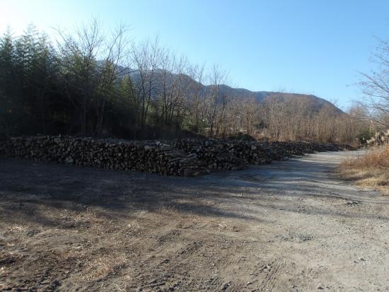 配布前鳳来橋上流