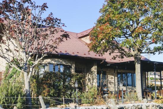 cueillette_boohoowoo01_01