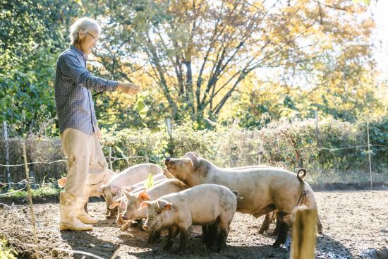 cueillette_boohoowoo02_02