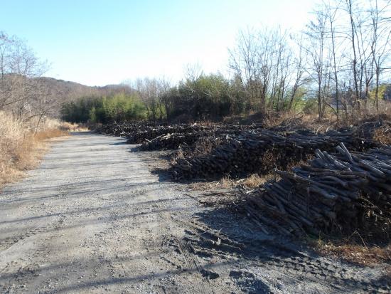 配布前（鳳来橋）