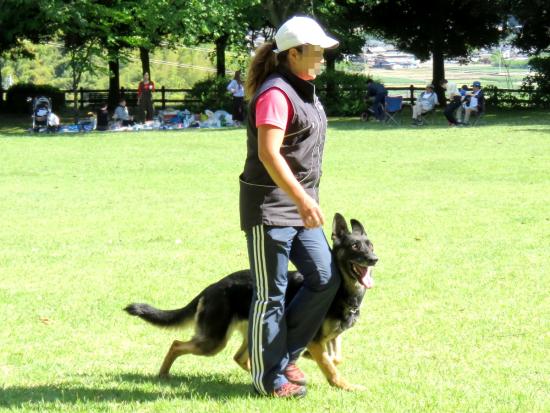 画像:ドッグショーの様子