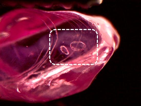 fig1