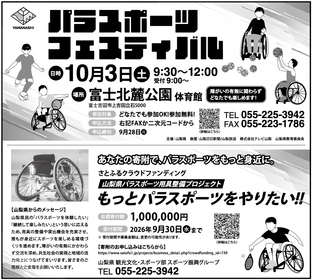 甲斐の系譜_3広告