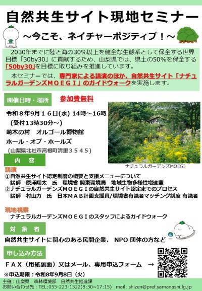 チラシ