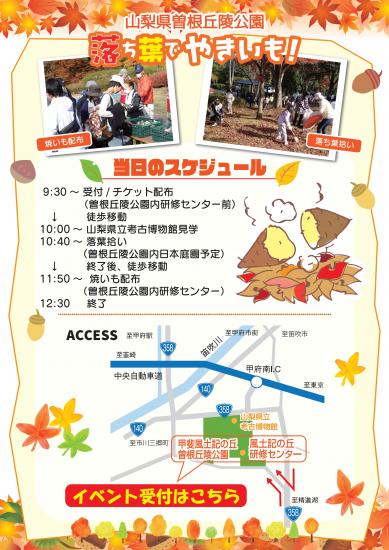 画像：落ち葉でやきいも！のご案内（裏面）