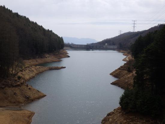 乙女湖大橋の2026年4月20日の写真