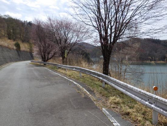 管理事務所手前から2026年4月20日の写真