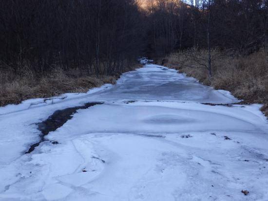 ダム周辺の2026年1月9日琴川上流