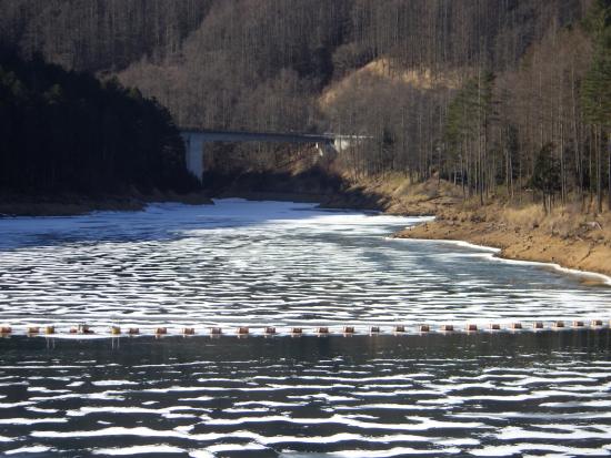 堤体上流側から2026年1月27日の写真