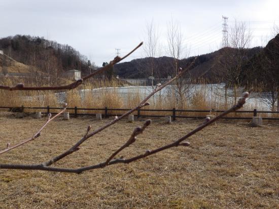 湖岸広場から2026年2月27日の写真