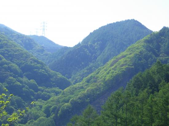 県道柳平塩山線の途中から2026年5月19日の写真