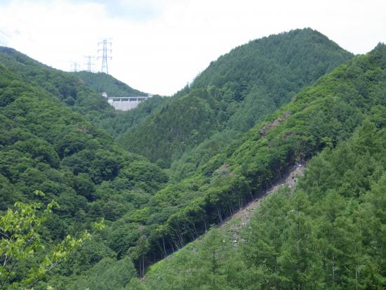 県道柳平塩山線の途中から2026年6月16日の写真