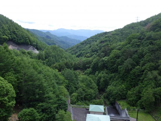 ダム堤体下流側から2026年6月16日の写真