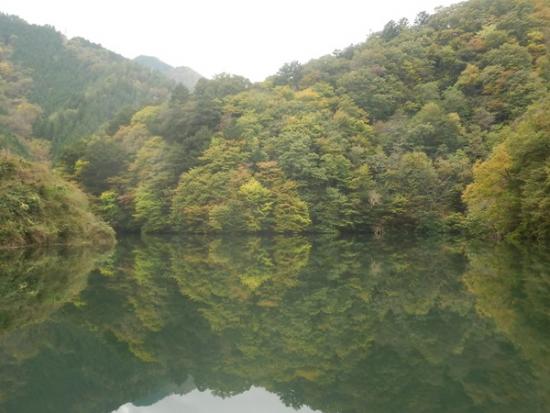 令和6年11月6日の深城ダム2