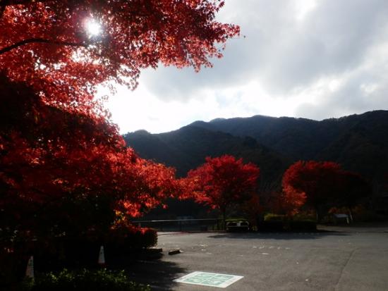 令和6年11月14日の深城ダム2