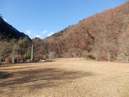 令和6年12月6日の小金沢公園2