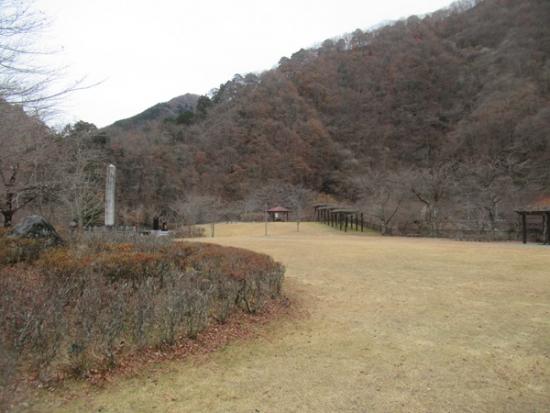 令和6年12月13日の小金沢公園