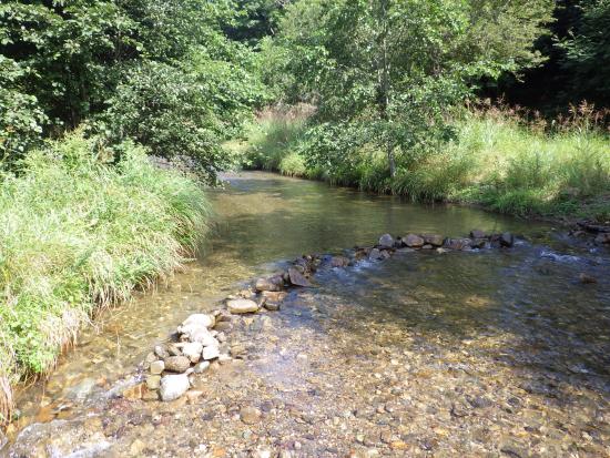 琴川の流れの様子の写真
