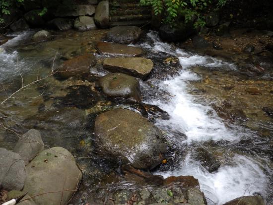 琴川上流の渡り石の状況
