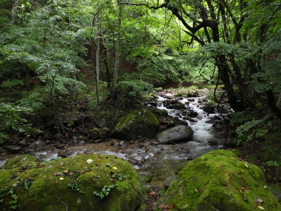 琴川上流の遊歩道