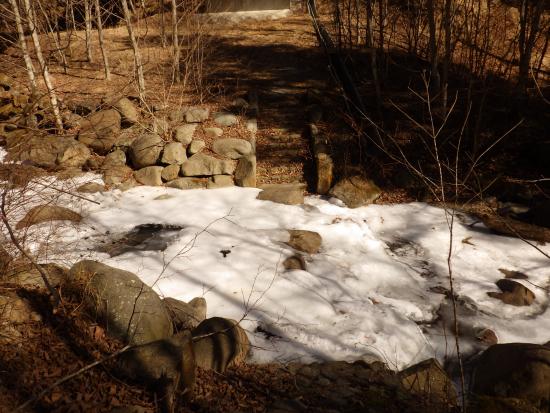 上流側の渡り石の凍結状況