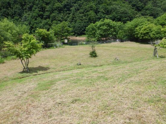 湖岸広場の写真
