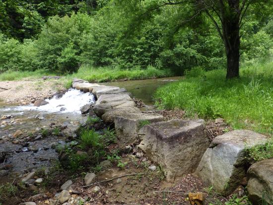 湖岸広場の渡り石の写真