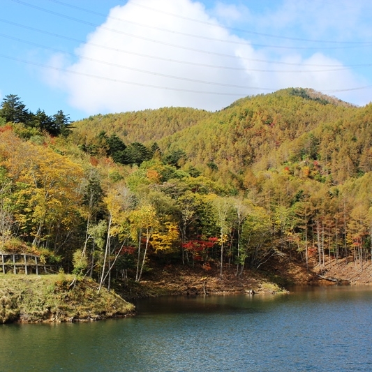 紅葉と雲