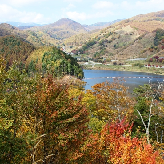 紅葉した金峰山
