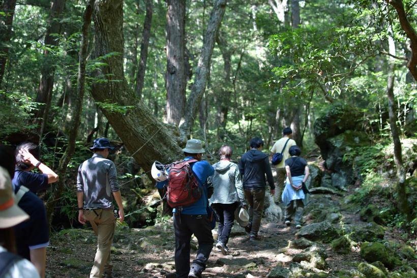 jukai-image1