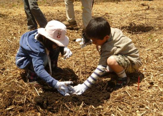 100周年記念植樹：植樹のようす