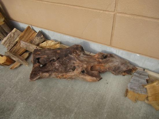 令和8年3月12日の流木2